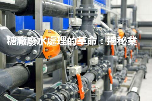 糖廠廢水處理的革命：揭秘業(yè)內(nèi)獨特技術(shù)和方法！